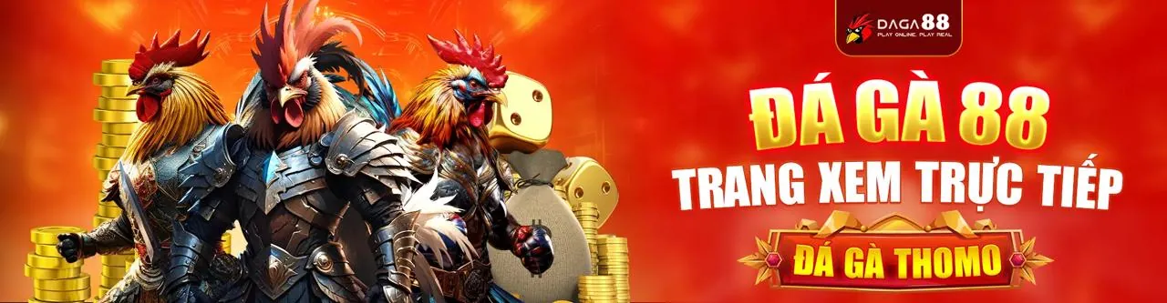 Trận đấu đá gà kịch tính tại rich888 chính thức
